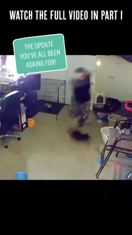UPDATE! Here’s what happened! Thank you, Daniel, for being so empathetic and understanding of these cats! #catattack #cats #trending #viral #catvideo @Rhodehead 