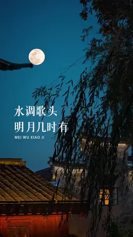 #中秋節 人有悲欢离合 月有阴晴圆缺 此事古难全