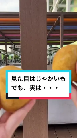 リアルすぎてびっくりしたじゃがいも🥔#食べ歩き #名古屋グルメ 
