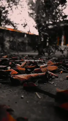 bichar k zat Eshq main .🔥 sher from drhma Jaa muhabbat Tuje Alvida kardiya ... Poetry from ishfaq Ahmad 🥀 #burhan_tv #urdupoetry #aestheticvideos #Kamii1037 #urdupoetry 