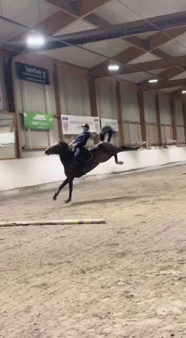Never been closer to death😃😃😃 #foryou #horsefail #horse #crazyhorse #hest #equestrian #fyp #showjumper #younghorse #happy 