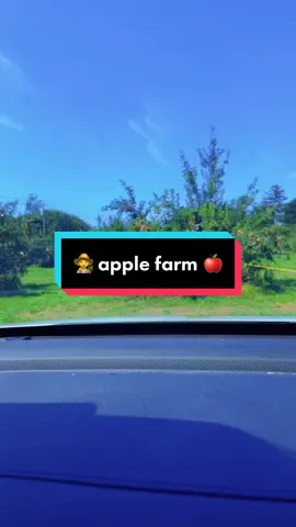 ♥️ #fypシ゚viral  #tiktok