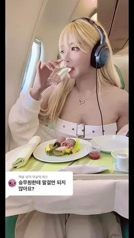 @예슬 님에게 회신 승무원 분이 기내식 주시는 것도 합성일까요? 얼마나 더 인증을 하라는건지 😵‍💫