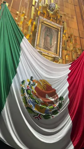 Esto es México. #basilica #basilicadeguadalupe #bandera #banderademexico #banderademexico🇲🇽❤️ #virgen #virgendeguadalupe #virgencita #virgencitadeguadalupe #virgenmaria💛 #virgenmaria #catolico #catolicos #catolicostiktok #catolica #catolicas #catolicasparacristo #catolicasoy #catolicos_por_amor #catolicismo #catolicosoy #cdmx #cdmx🇲🇽 #fypシ #fyp #fy #parati #paratii #paratipage #paratupagina #paratiiiiiiiiiiiiiiiiiiiiiiiiiiiiiii #vivamexico #vivamexico🇲🇽