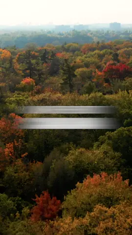 A forest with a story that spans the Atlantic, pitting lumberjacks against an emperor, during one of the most pivotal moments in Europe's history. Napoleon, meet Toronto's Rouge Valley. #canadianhistory #canadiana #canada #thisiscanadiana #napoleon #rougepark #parkscanada #youtubeseries #rougenationalurbanpark #rougeparkscarborough #torontohistory 