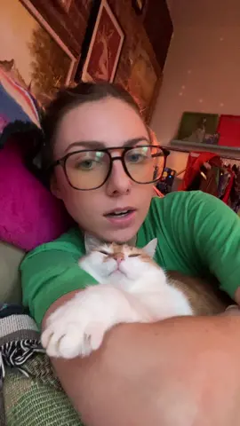 treatment plan: cat