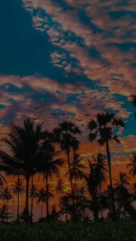 #badbunny enséñame a bailar #verano #lyrics #lyricsvideo #letrasdecanciones#traducciones #fyp #foryoupage#statuswhatsapp #bb #enseñameabailar #unveranosinti  #túyyosolitoyelsol