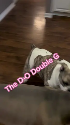 DOgg #fypage