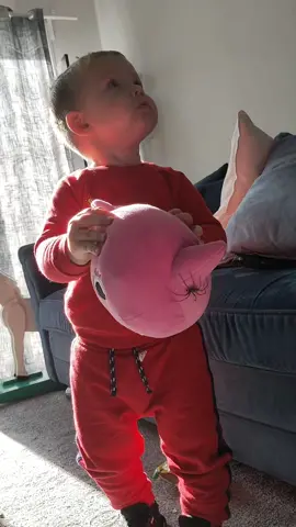 He didn't realize what was on it until I showed him 🤣 he was not happy 😂 #bigspider #toddlersoftiktok 