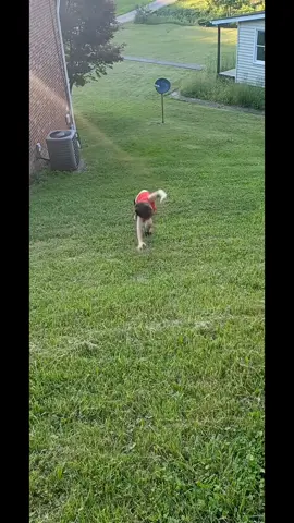 Rumor has it, he’s still rolling! 😂 #fyp #flips #flipping #flippingout #fail #fails #funnykids #failarmy