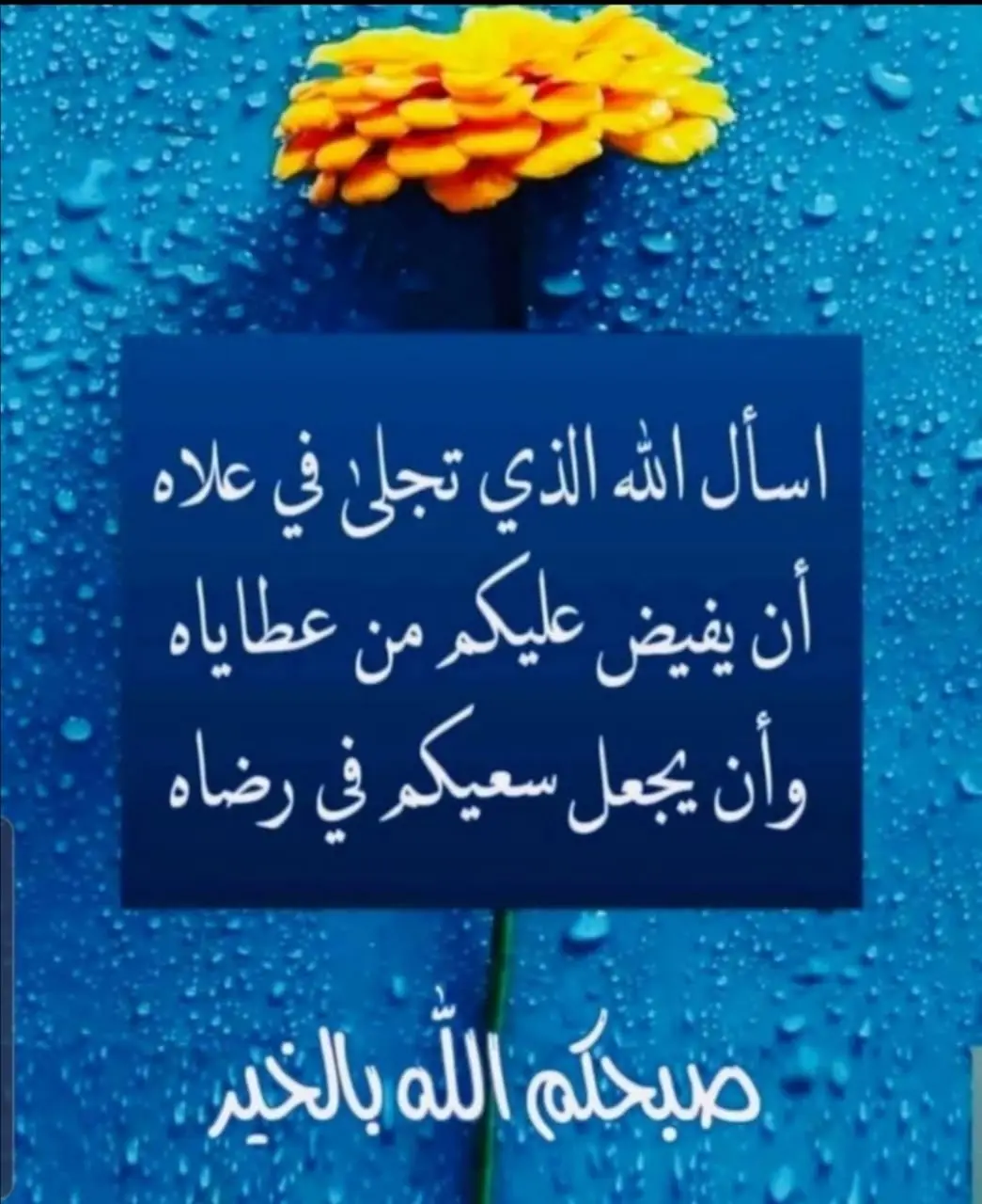 #استغفار_تسبيح #InspirationByWords #الصلاة_على_النبي #