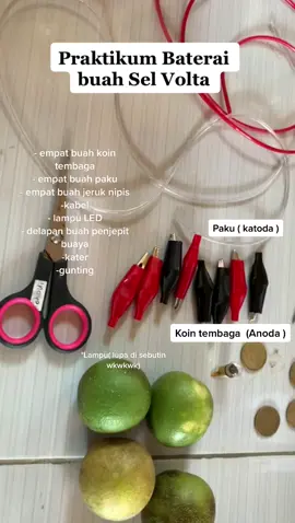 Praktikum kimia baterai buah - sel Volta