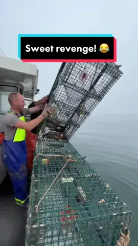 Oh sweet revenge 😂. This is part 1. Currently editing the drone footage for part 2 and will post tomorrow. Its a riot! #maine #lobster #lobsterfishing #fy #fyp #ocean #lobstertok #207 #mainecheck #gulfofmaine #funny #jokes #pranks #prank #prankwar #revenge 