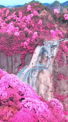 Ruyi Bridge In China 🌺😍 #amazing #view #nature #viralvideo #beautiful #tiktok #foryou #trending #viral #trend #beauty #china