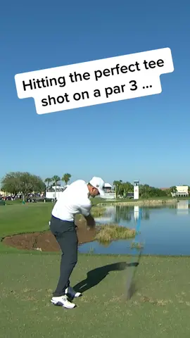 🫠🫠🫠🫠 #PGATOUR #golf #ahh 