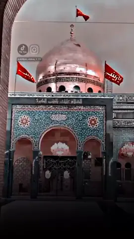 حسینؑ ویر میں چہلم تیڈا کرن آئی ہاں 😥 #foryou #foryoupage #standwithkashmir #trending #viral #arbaeen