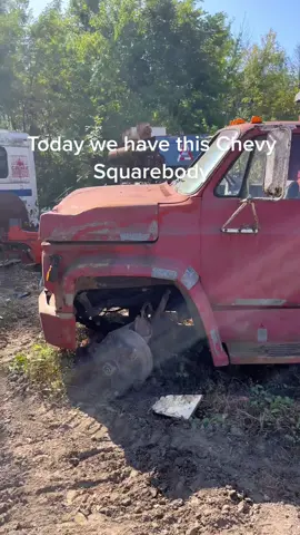 #junkyard #fordtrucks #f100 #squarebody #bigtrucks 