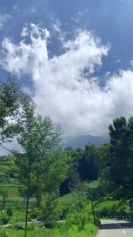 Tol Kayangan-Top Selfie Pinusan Kragilan Magelang🌿 #fyp #fypgakni #view #tolkayanganmagelang #hutanpinuskragilan #wisatamagelang #serunyakuliner #chizleadergoldslice 
