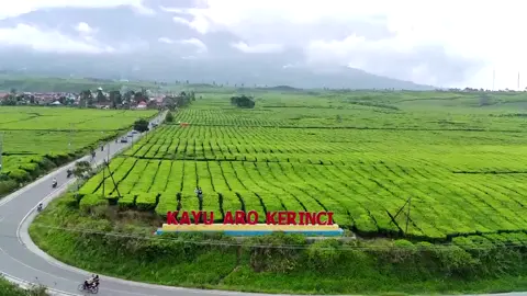 Gunung Kerinci dan Hamparan Kebun Teh #gunungkerinci #kebunteh #kayuarokerinci #fypシ
