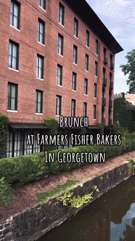 Brunch in DC is always a must! Sharing my favorite spot today  #dcbrunch #dcbrunchspot #brunchspots #dcfoodie #dcfoodfinds 