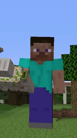 #Minecraft #minecraftmemes #npc #💀 #memes #meme #gamer #fyp #fy #foryou