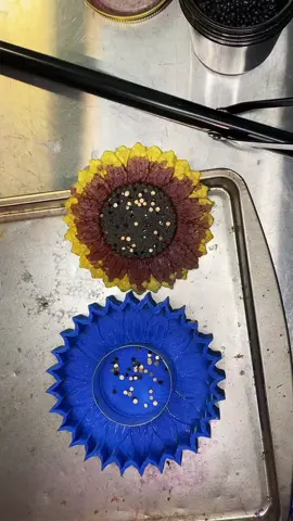 Double sided sunflower freshie. #carfreshies #carscents #sunflowerfreshie #DrPepperTuitionContest #ChewTheVibes #aromabeadfreshies #aromabeadsairfreshener  