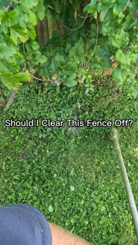 #lawncarecommunity #lawncarefreaks #lawncarecommunity #lawncarelegends 