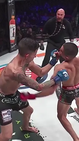 This is why we Practice 🔥 #MMA #Knockout #Boxing #BodyShot 🎥 via IG aaronpico sixgungibson @Bellator MMA 
