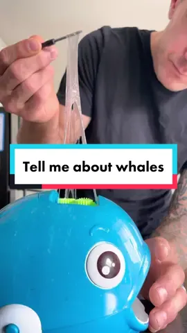 I love whales, and honestly, it kind of broke my heart that this never actually wooed anyone the way that i’d hoped it would. Also, check out In the heart if the sea #storytime #elderemo #whales #writertok 