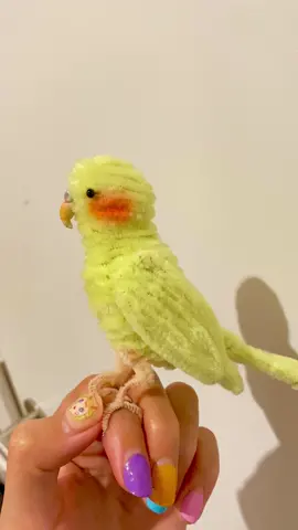 Hahaha eyes too small 🦜 #pipecleanercurls  #london #londonmarkets #handmadeuk #handcrafted #handicraft #gift #custimized #pipecleaners #twiststick #扭扭棒 #chenillestems #birds #handmade #animal  #parrots #DIY #diycrafts #homedecoration #crafting #diykit #cut #doll #toy 