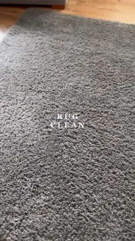 When you think your rug isn’t that dirty.. 🫠 wow I’m shocked! 🫣 #cleaningwithdanielle #rugclean #satisfying #satisfyingvideo #cleanwithme #carpetcleaning #fyp