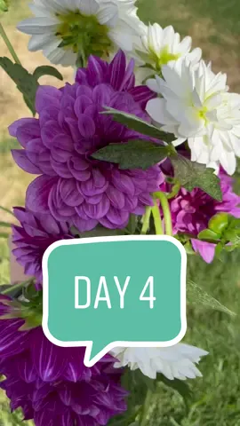 Day 4: Yard work!! #backyardchickens #lindseyslehigarden #cutflowergarden #workouteveryday 