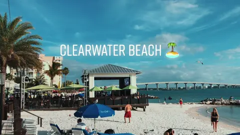 #clearwaterbeach #florida #shephardsbeachresort #jetski #paddleboard #kayaking #vacation #boats #scenicview #paridise #drinks #sand #beach 