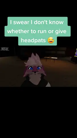 ok my mic cut out but here is another one, her sound animation really creeped me out more to come ofc#CapCut #furry #cute #furriesoftiktok @maze0w0