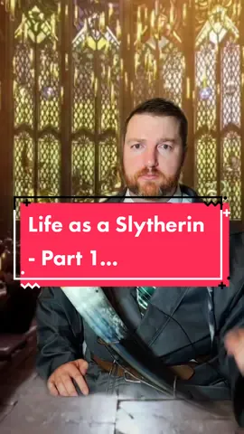 Life as an average Slytherin... #BookTok #bookrecs #DnD #dndtiktok #fantasybooks #harrypotter #harrypotterfanfic #funny #authorsoftiktok #foryou