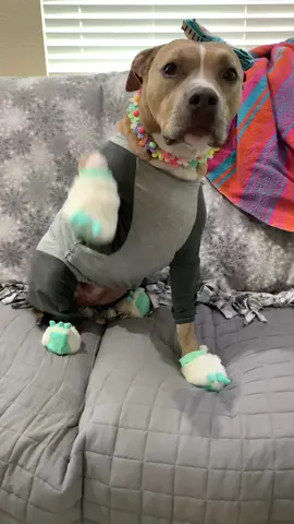It’s the slipper wave for me 😭🥹 #theyrecalledmyslippers #indiegirl #whatrethosseeee 