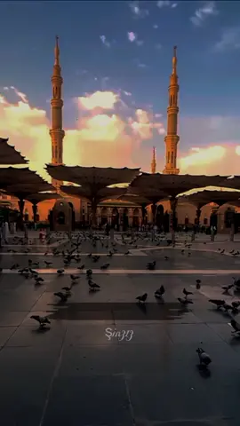 #٢٨صفر_شهادة_الرسول_الأعظم_محمد #يارسول_الله#الشيخ_احمد_الوائلي_رحمه_الله #إستشهاد_النبي_محمد_ص #تصميمي🎬🙅 #fyp #fypシ #foryou #fypage #cupcut #تصاميمçayır_gözlü 
