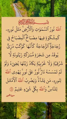 #القران #الكريم #سورة_النور