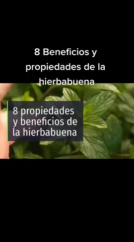 #8 beneficios# propiedades# de la hierbabuena.