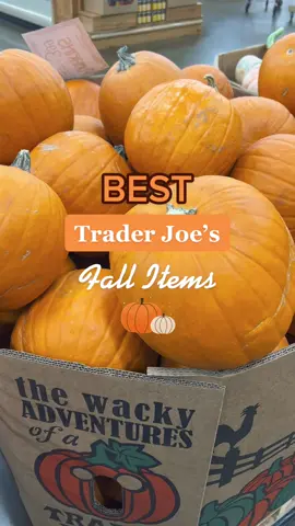 Butternut Squash Mac is ELITE 🧡 These are my favorite Trader Joe’s Fall Items!! #traderjoes #traderjoesfallitems #pumpkin 
