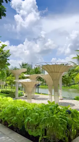 Một công viên tuyệt đẹp giữa trung tâm Sài Gòn. #saigon 