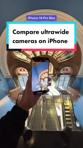 Can you tell the difference? Ultra-wide camera comparison: iPhone 14 Pro Max vs iPhone 13 Pro vs iPhone 12 Pro. No edit, shot in RAW. #shotoniphone #iphone14pro #iphone14promax #macrophotography #apple #photography 