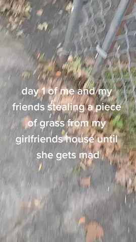 day one >:) #grass