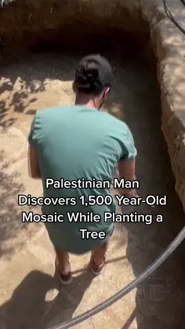 An elaborate floor mosaic believed to be up to 1,500 years old has been discovered by chance in Gaza by a Palestinian farmer planting new trees on the land. #palestine #gaza #mosaic #byzantine #byzantineempire #palestinian 