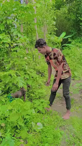 #ফুলপুরের_ছেলে