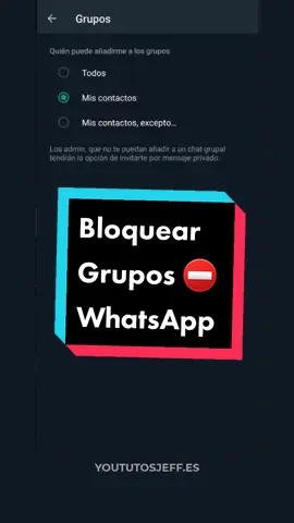 Evitar que me metan en grupos de WhatsApp #whatsapp #grupos #tutorial #tutoriales #informatica #redes