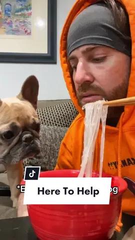 He’s always there to help if needed #spacejam #billmurray #dogsoftiktok #frenchiesoftiktok #mooch #dogdad #dogparent #assistancedog #dinner @somefrenchienamedapollo @somefrenchienamedapollo 