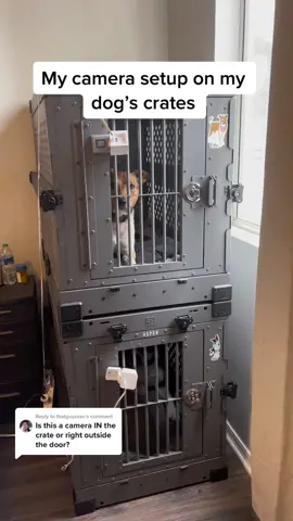 Replying to @thatguyzazu Our camera monitoring setup on our Impact Dog Crates #cratetraining #separationanxiety #dogmom #DogTraining 