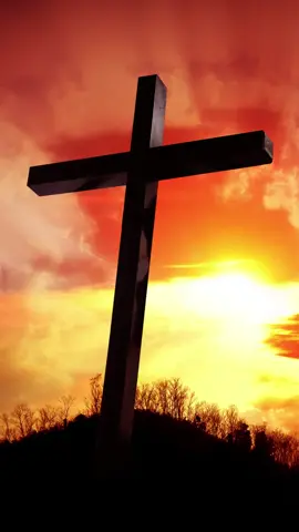 41% of Americans Believe The Bible is Literally True #christianity #bible #atheism #god #antitheism #news #politics #davidpakman #foryoupage