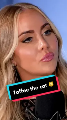 Toffee 🙀 #fyp #catsoftiktok #funnystories #fail #catlover 